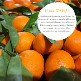 592-particulierement-riche-en-vitamine-c-c-est-une-alliee-ideale-pour-affronter-l-hiver-sans-compter.webp